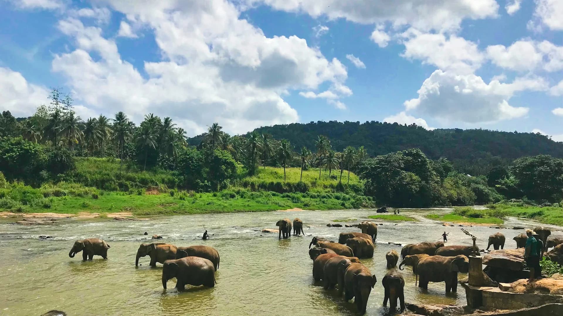 Colombo – Pinnawala Elephant Orphanage, Spice Garden & Three-Temples Loop – Colombo