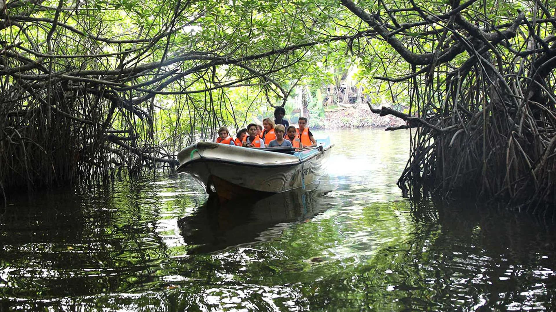 Madu Ganga