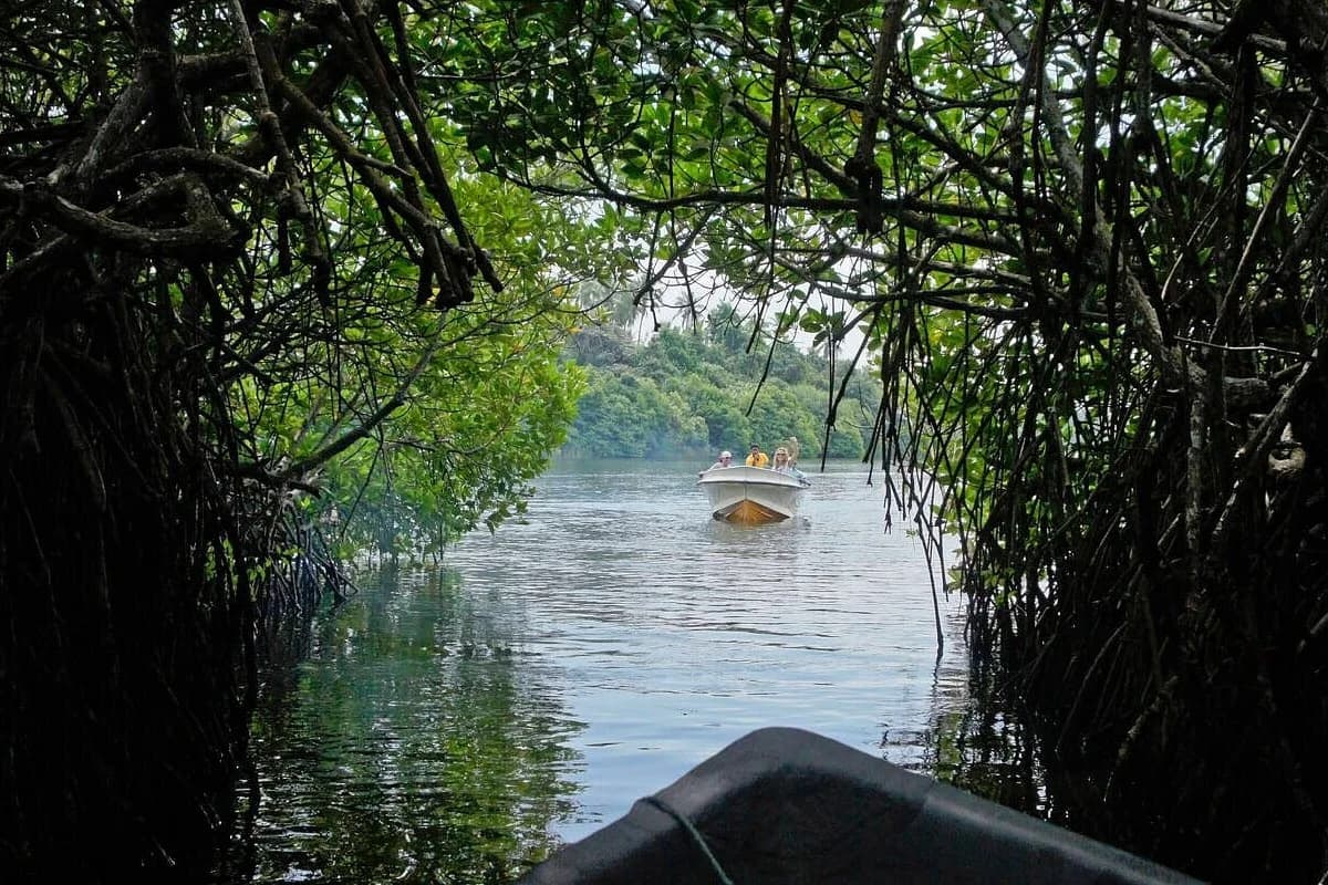 Madu Ganga