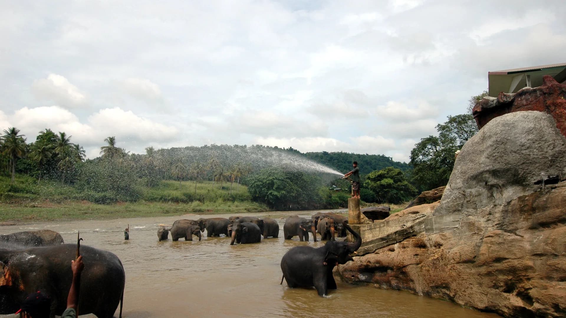 Pinnawala