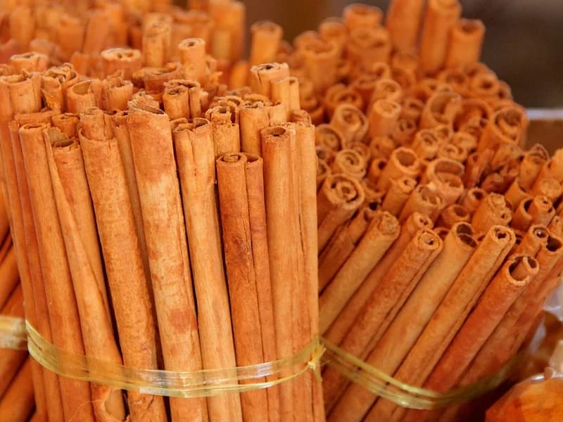 Cinnamon Peeling on Wetland Islet